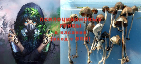 mdpv Алзамай