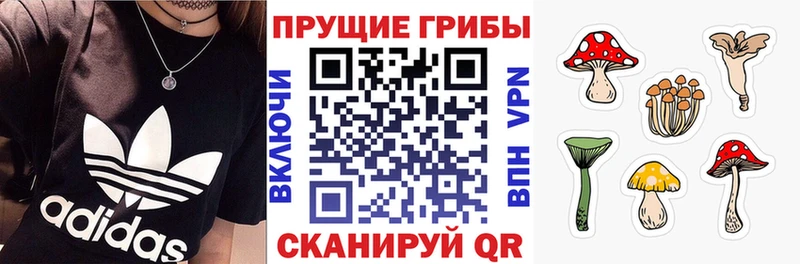 darknet какой сайт  Аша  Галлюциногенные грибы GOLDEN TEACHER 